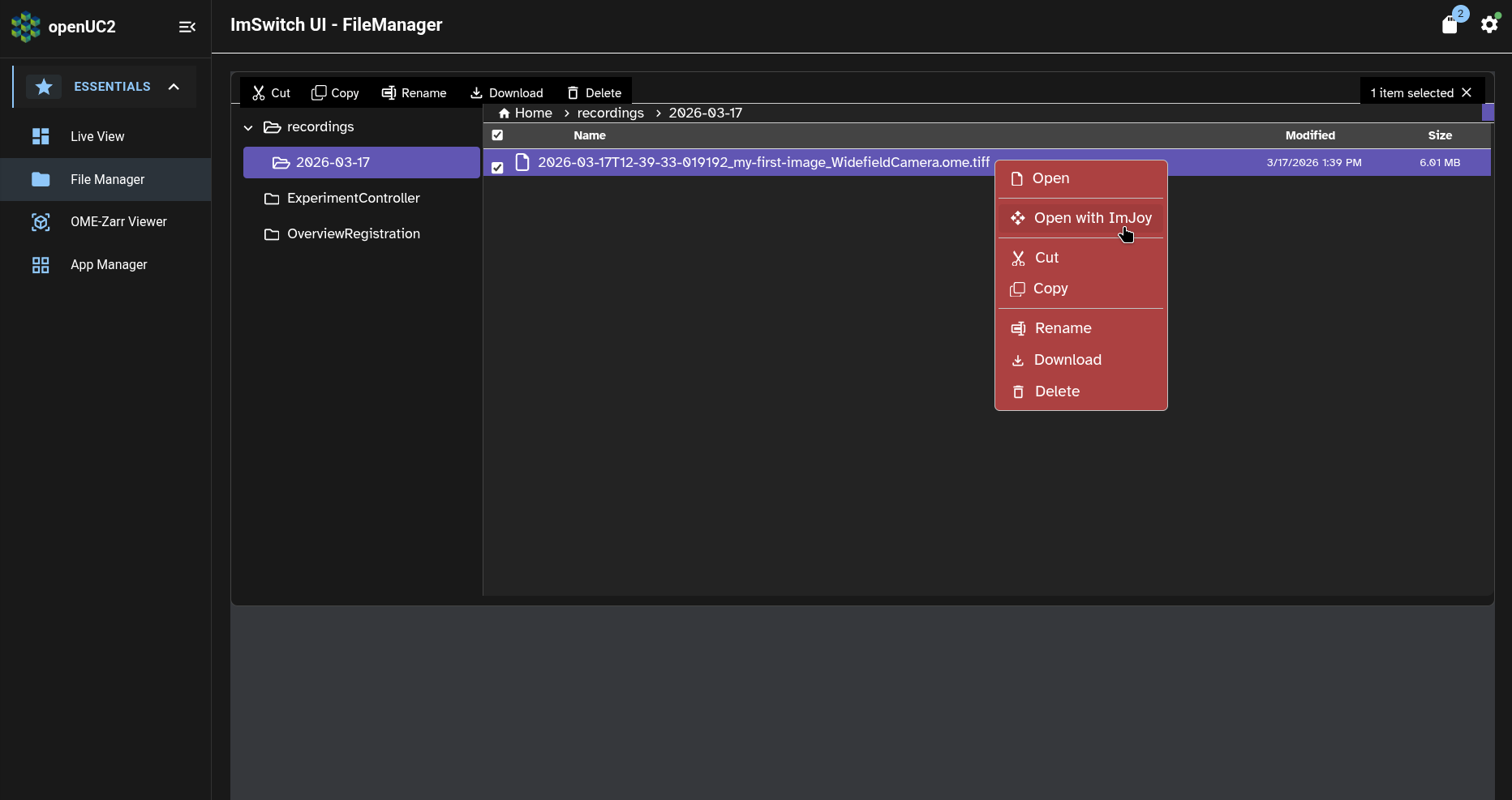 ImSwitch app: File Manager page: context menu: preview with ImJoy
