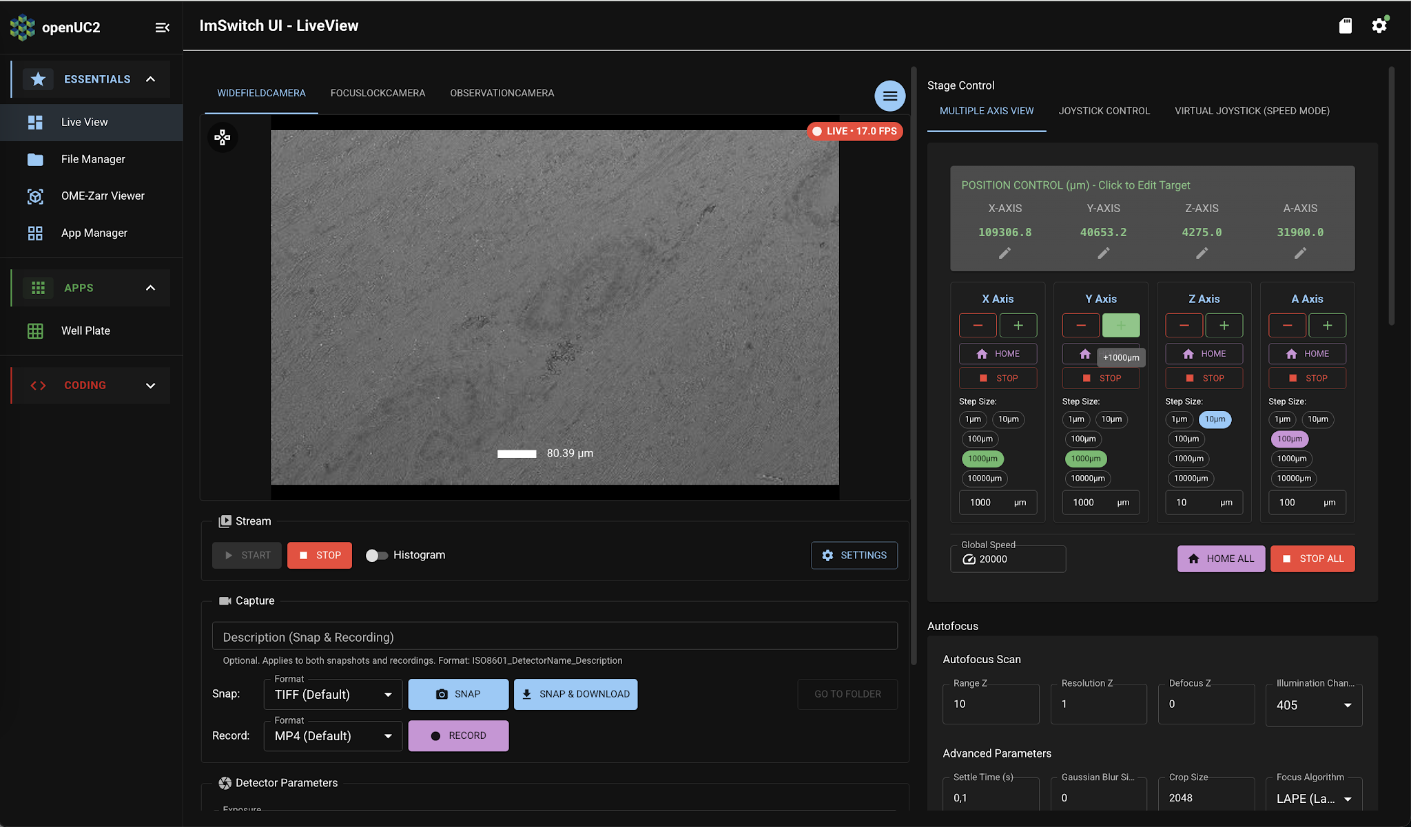 ImSwitch app: Live View page: Stage Control section: focused